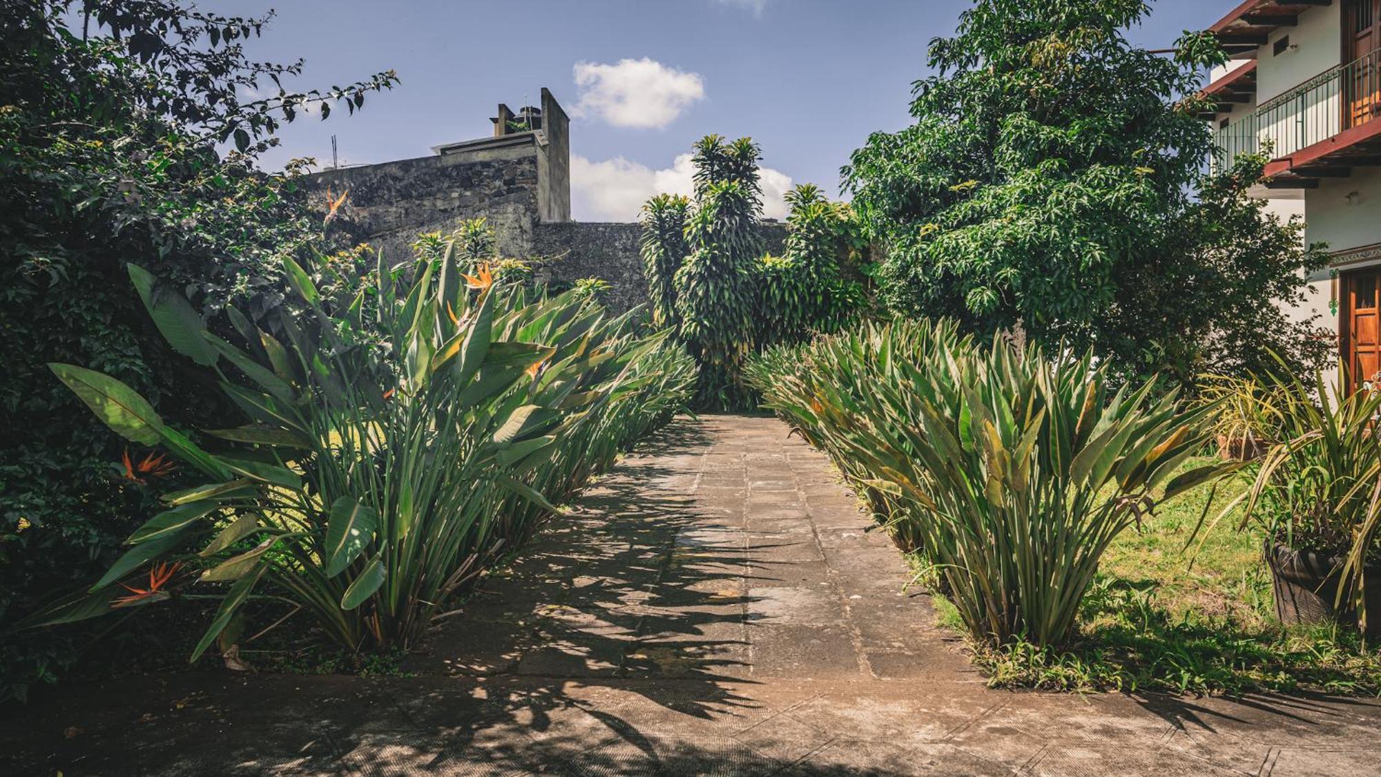 Hotel Montecillo Coatepec  Exterior foto